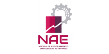 Logo_NAE